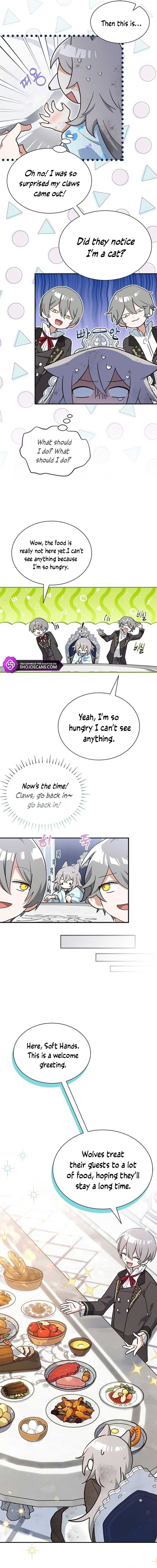 You’re a Cat, but You’ve Been Adopted by a Wolf Family? Chapter 2 - Page 9