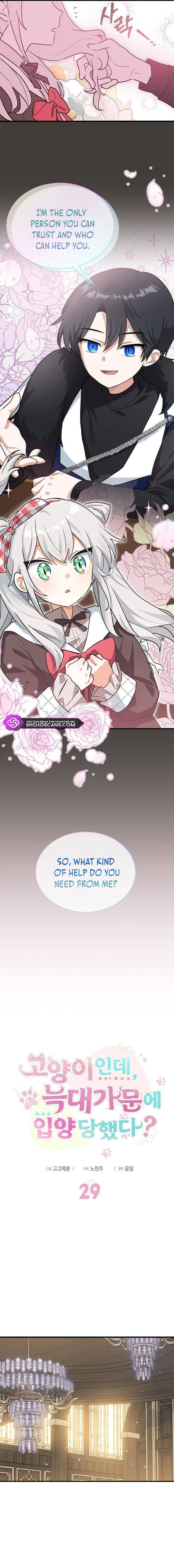 You’re a Cat, but You’ve Been Adopted by a Wolf Family? Chapter 29 - Page 1