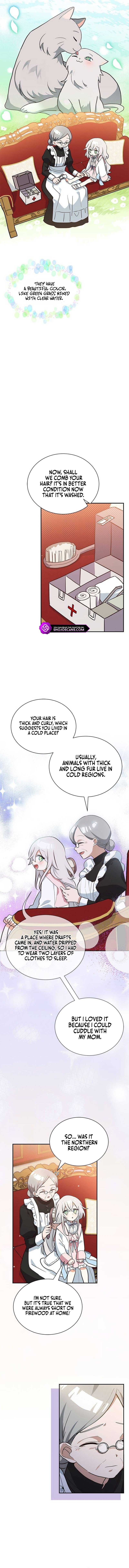 You’re a Cat, but You’ve Been Adopted by a Wolf Family? Chapter 4 - Page 8