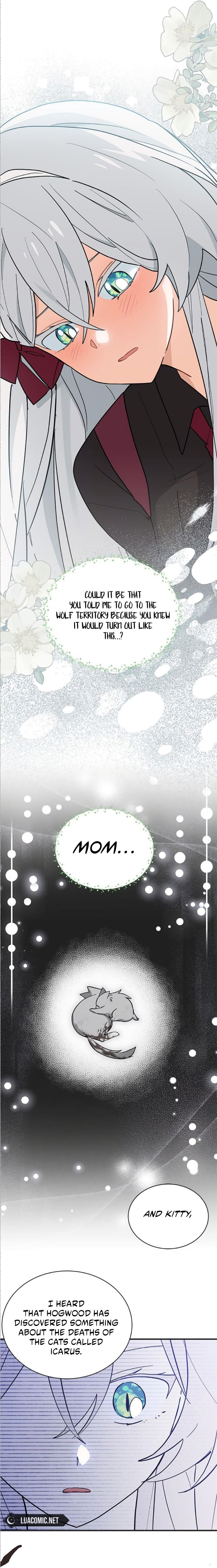You’re a Cat, but You’ve Been Adopted by a Wolf Family? Chapter 41 - Page 10