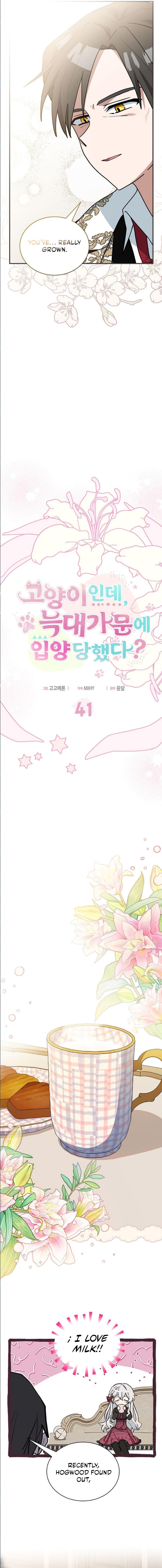 You’re a Cat, but You’ve Been Adopted by a Wolf Family? Chapter 41 - Page 3