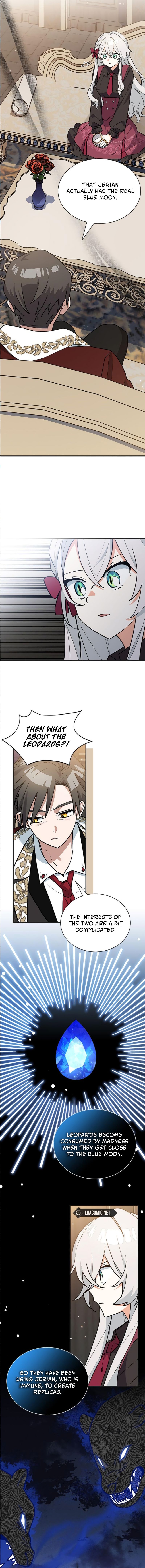 You’re a Cat, but You’ve Been Adopted by a Wolf Family? Chapter 41 - Page 4