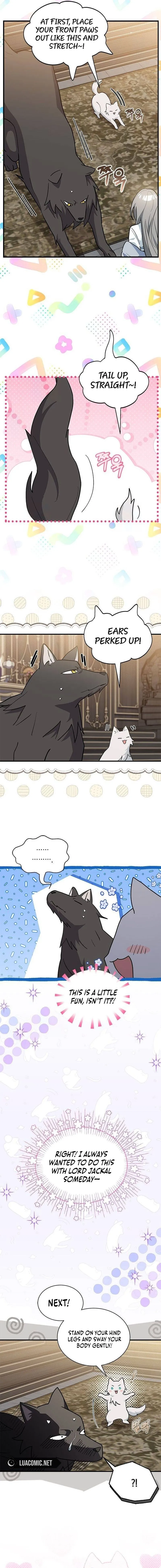 You’re a Cat, but You’ve Been Adopted by a Wolf Family? Chapter 42 - Page 8