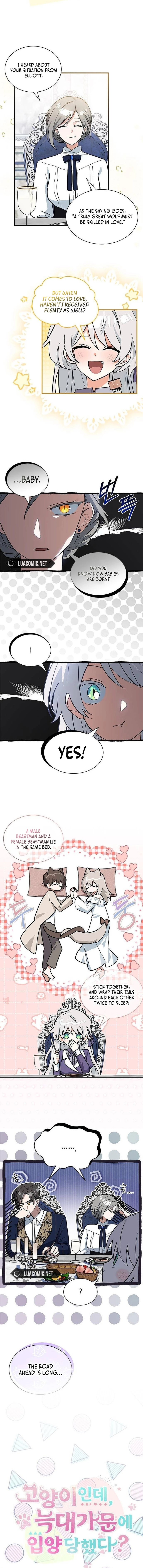 You’re a Cat, but You’ve Been Adopted by a Wolf Family? Chapter 43 - Page 1