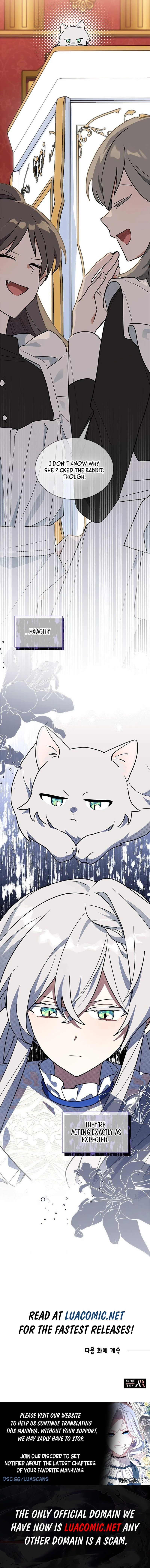 You’re a Cat, but You’ve Been Adopted by a Wolf Family? Chapter 44 - Page 12