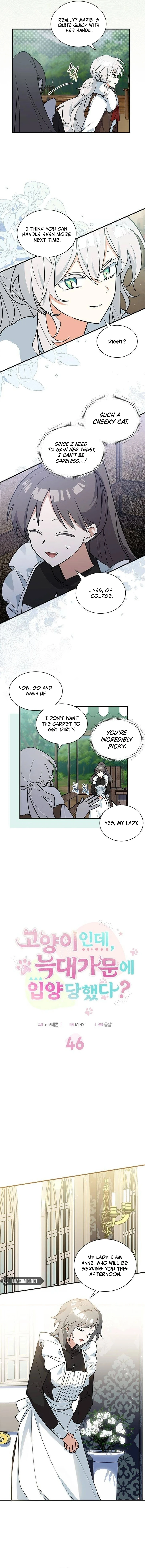 You’re a Cat, but You’ve Been Adopted by a Wolf Family? Chapter 46 - Page 4