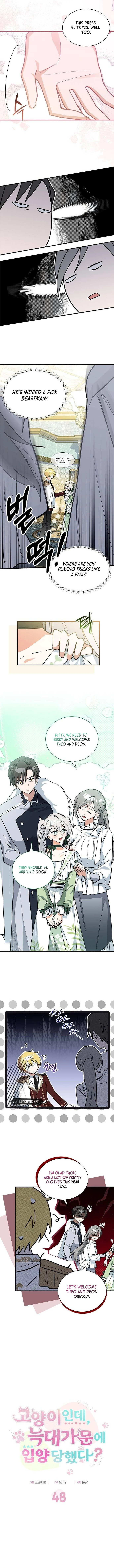 You’re a Cat, but You’ve Been Adopted by a Wolf Family? Chapter 48 - Page 4