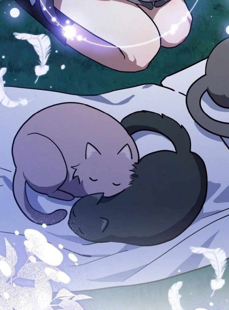 You’re a Cat, but You’ve Been Adopted by a Wolf Family? Chapter 72 - Page 24