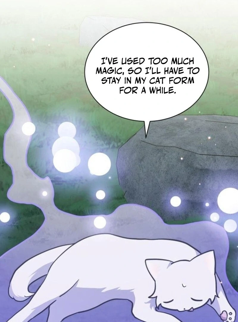 You’re a Cat, but You’ve Been Adopted by a Wolf Family? Chapter 72 - Page 30