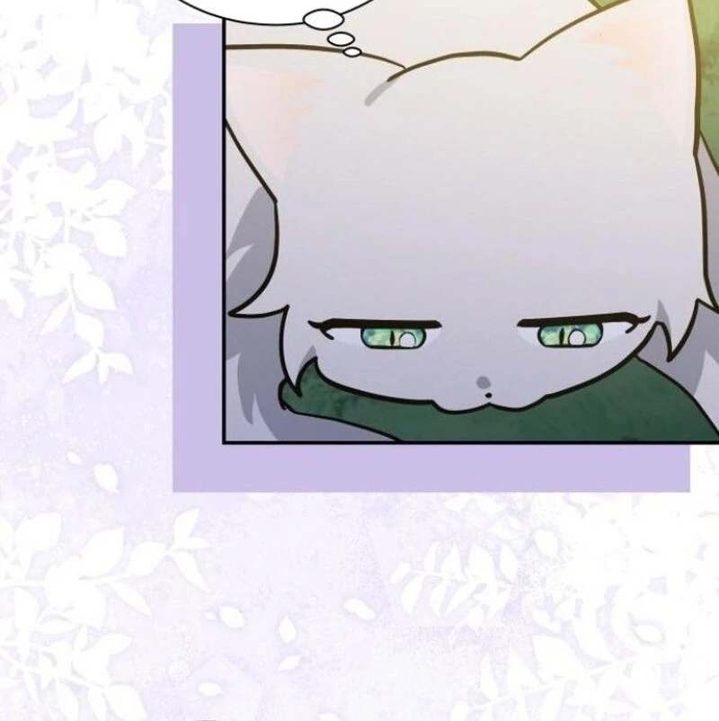 You’re a Cat, but You’ve Been Adopted by a Wolf Family? Chapter 72 - Page 32