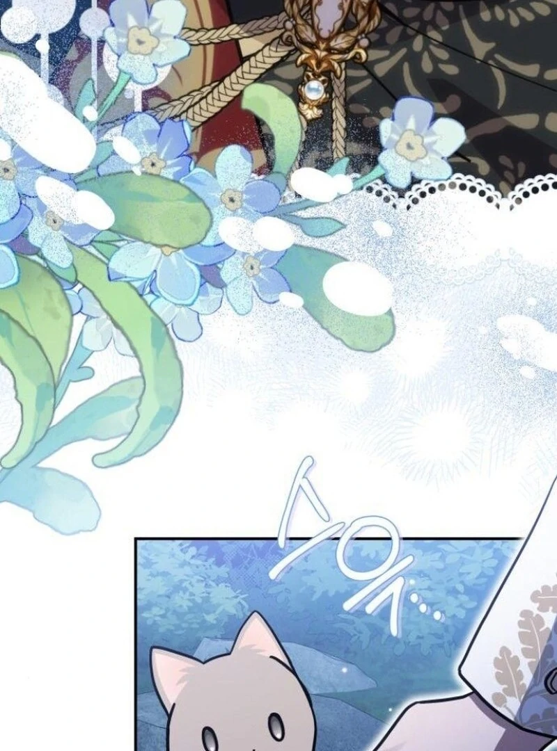 You’re a Cat, but You’ve Been Adopted by a Wolf Family? Chapter 72 - Page 45