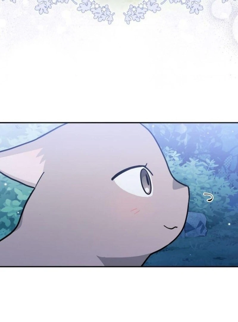 You’re a Cat, but You’ve Been Adopted by a Wolf Family? Chapter 72 - Page 48