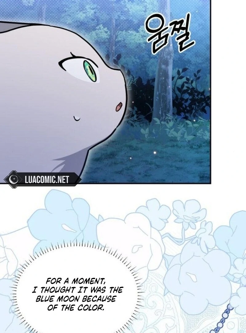 You’re a Cat, but You’ve Been Adopted by a Wolf Family? Chapter 72 - Page 68