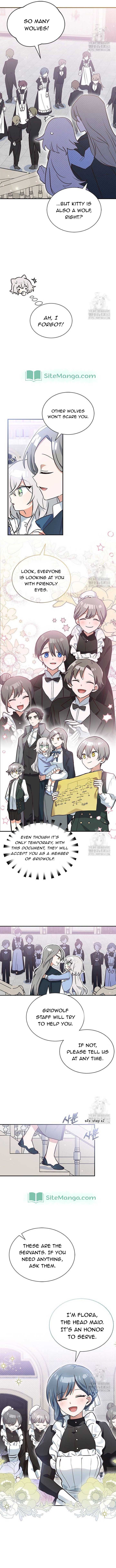 You’re a Cat, but You’ve Been Adopted by a Wolf Family? Chapter 8 - Page 7