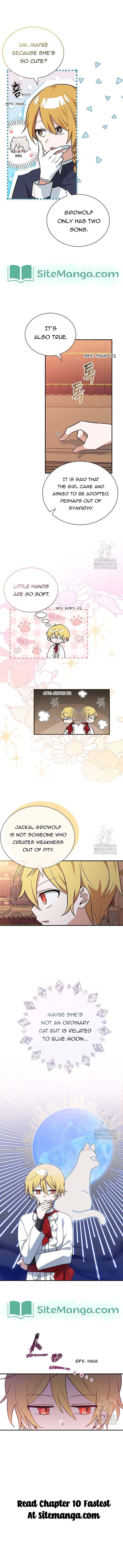 You’re a Cat, but You’ve Been Adopted by a Wolf Family? Chapter 9 - Page 10