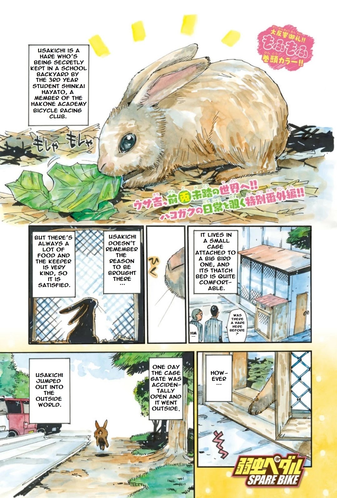 Yowamushi Pedal – Spare Bike Chapter 91 - Page 2